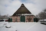 IMG3294
