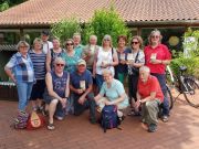 Gruppe-TSV-Hangsen-052018